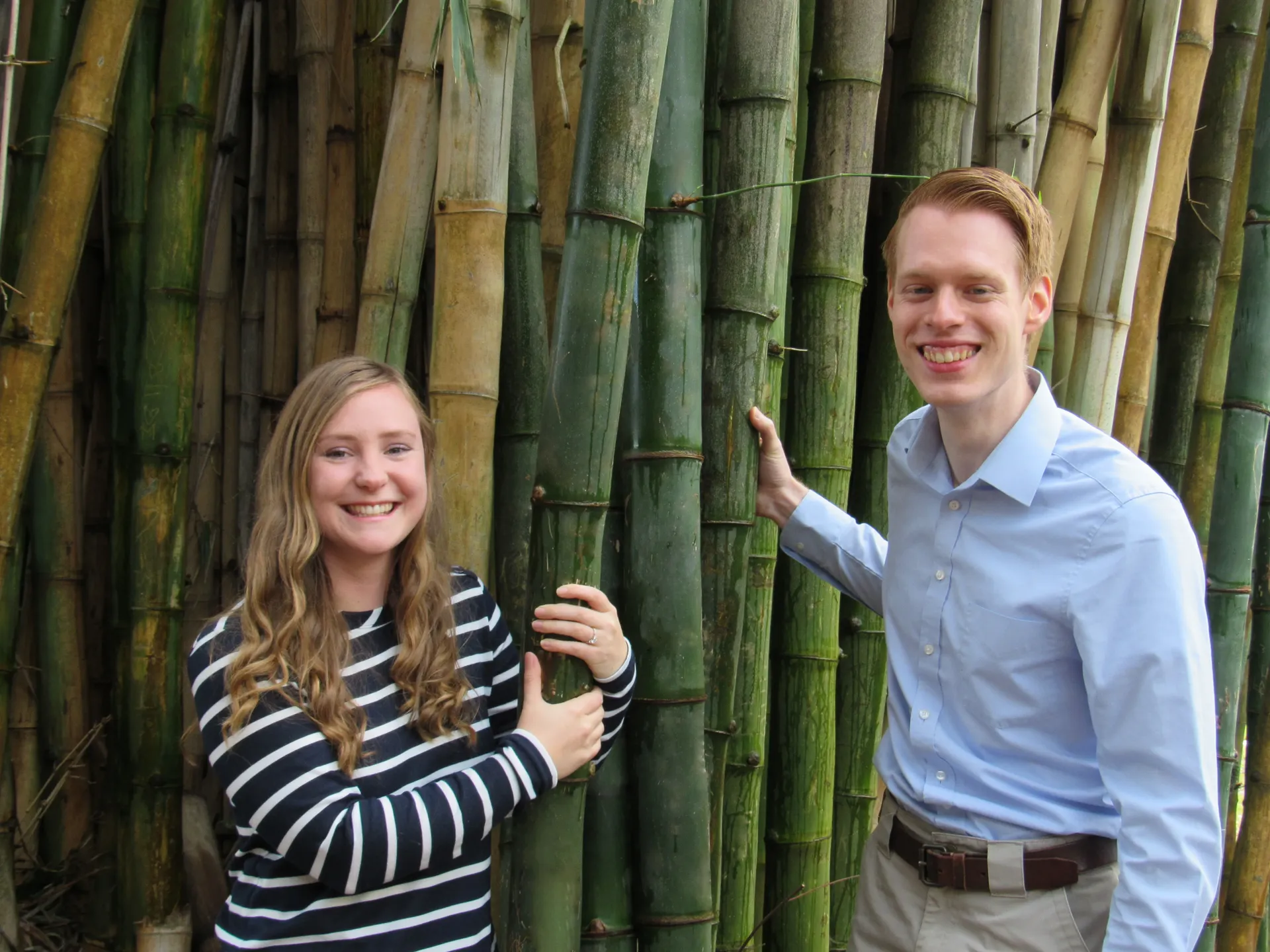 Bamboo